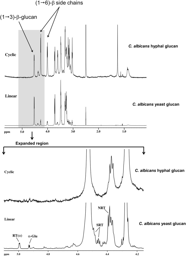 FIGURE 1.