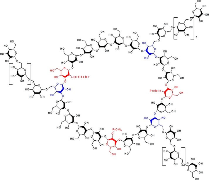 FIGURE 6.