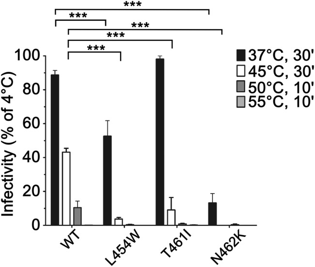 FIG 2