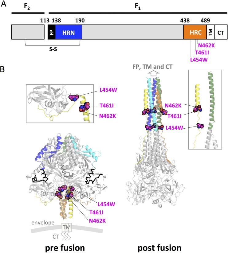 FIG 1