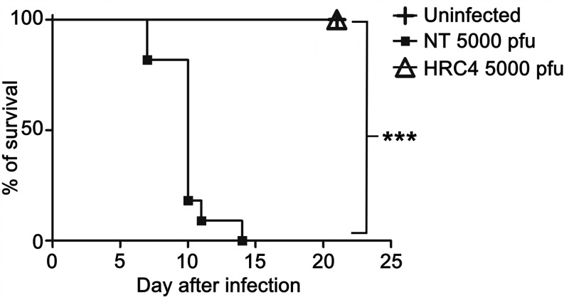 FIG 6