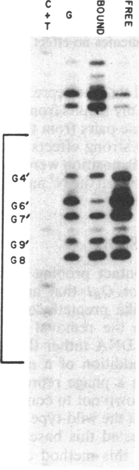 graphic file with name pnas00334-0072-a.jpg