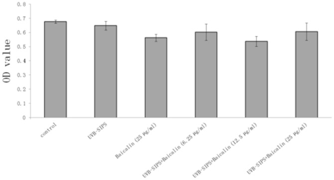 Figure 12