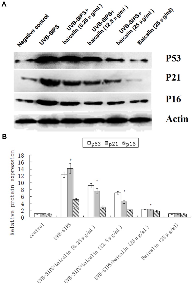 Figure 10