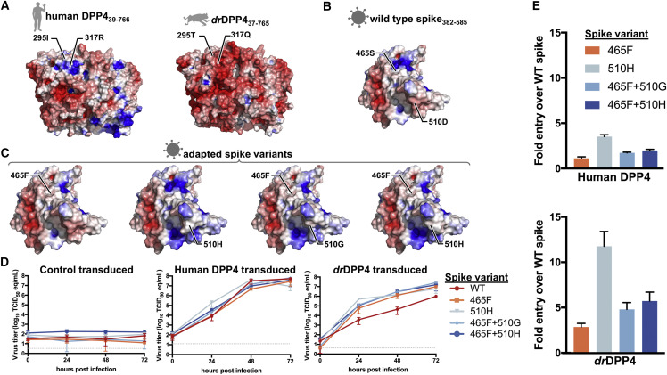 Figure 3