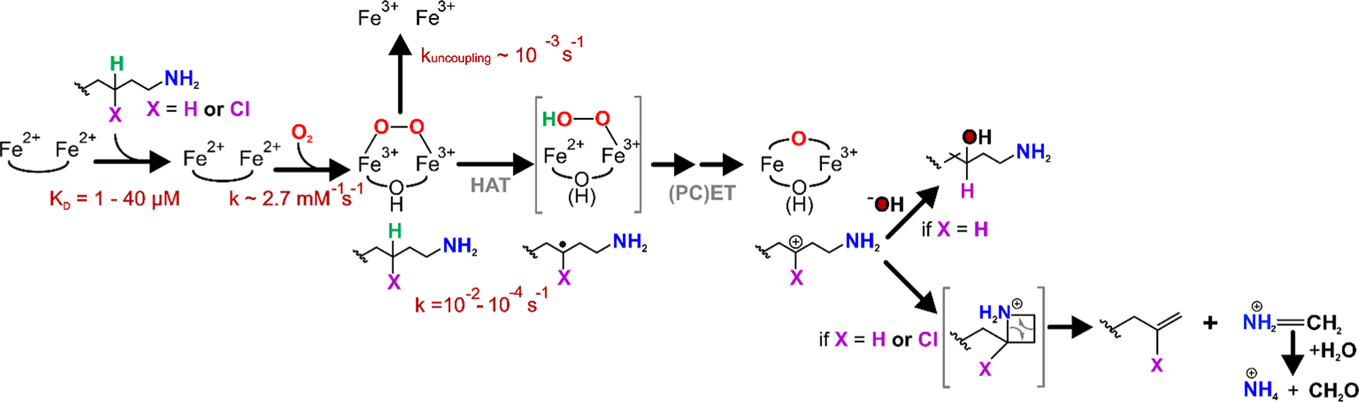 Figure 7.