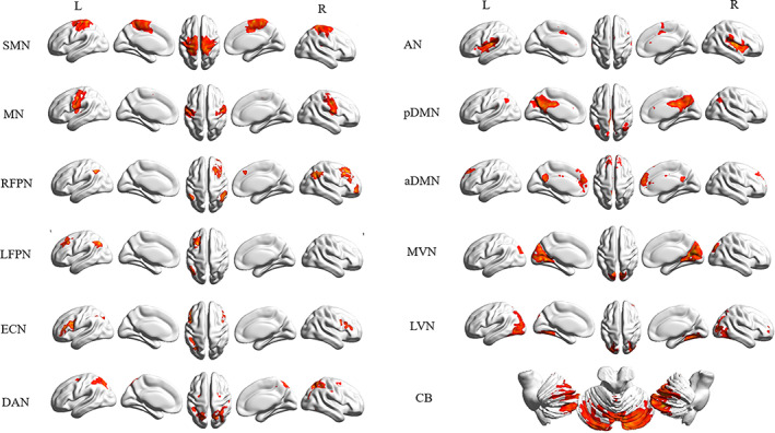 FIGURE 1