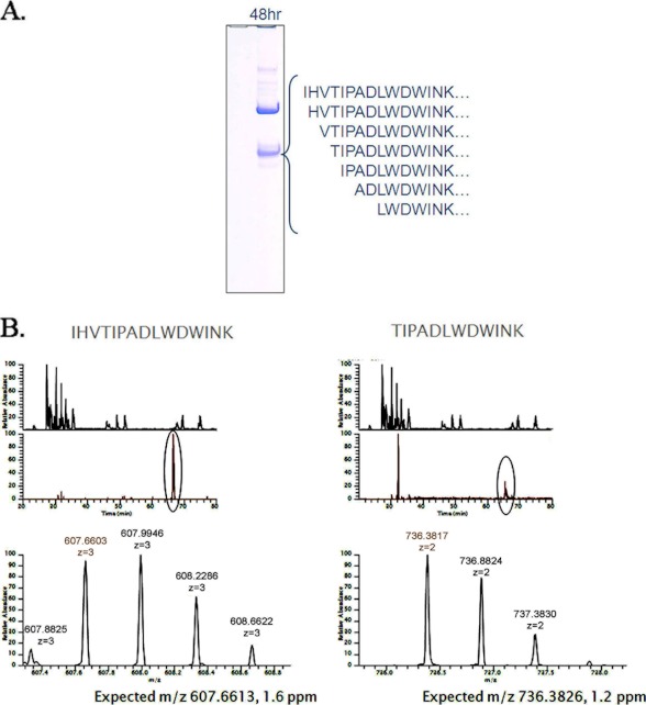 FIGURE 3.