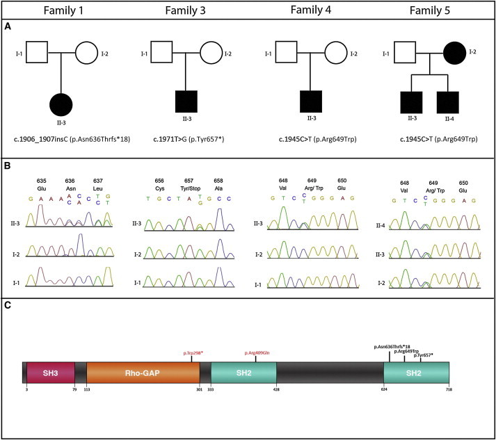 Figure 2