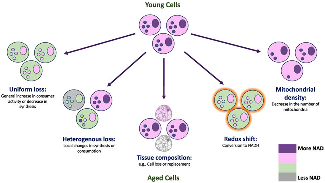 Figure 2: