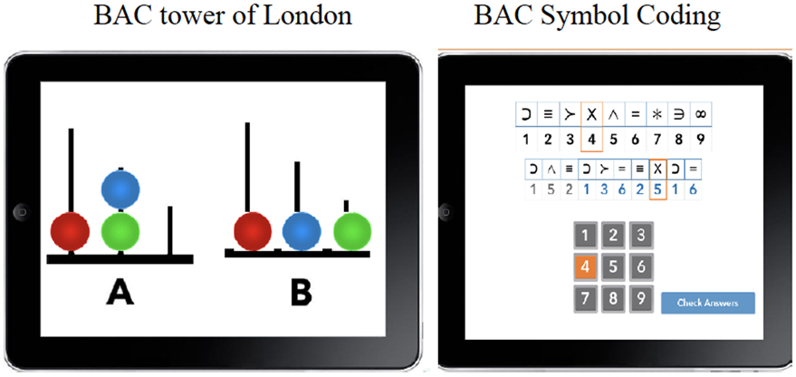 Figure 1: