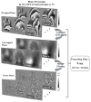 Fig. 9