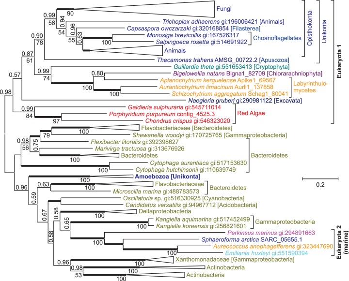 Fig. 6.—