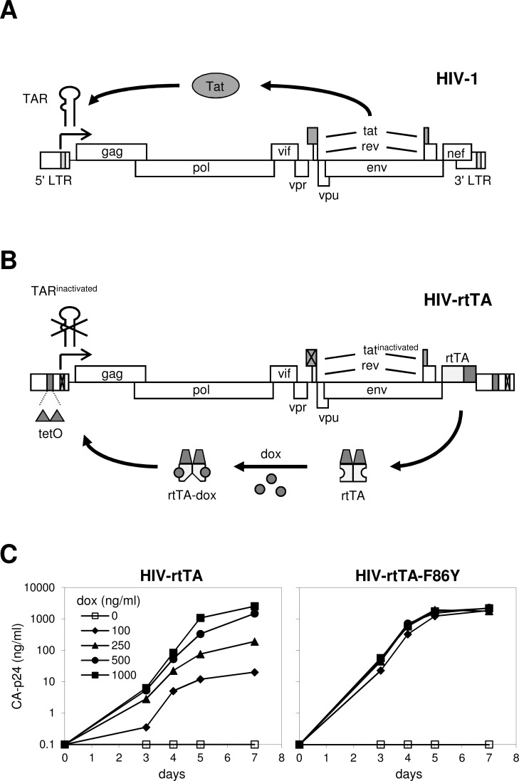 Fig. (3)