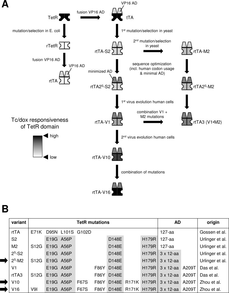 Fig. (2)