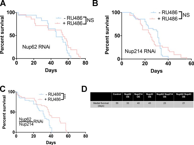 Figure 5—figure supplement 1.