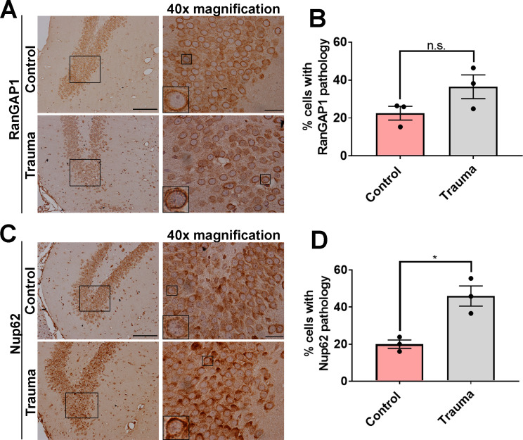 Figure 2—figure supplement 2.