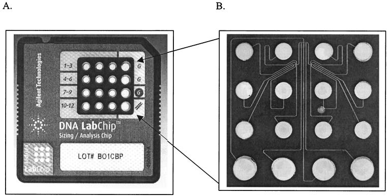 FIG. 1