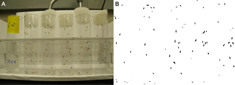 Figure 5.