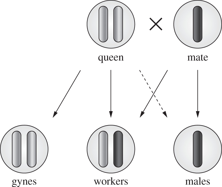 Figure 2.