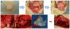 Fig 2