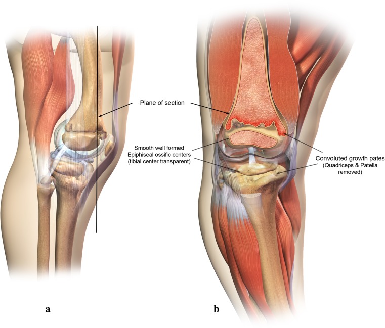 Fig. 6