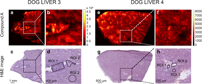 Fig. 4