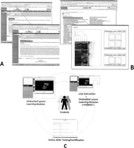 Figure 6