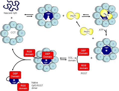 FIGURE 10.