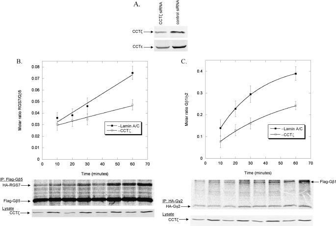 FIGURE 9.