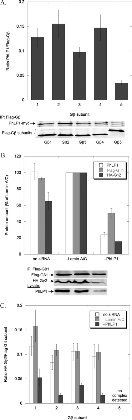 FIGURE 1.