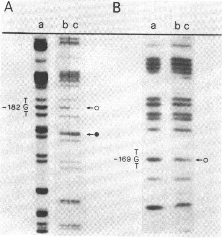 graphic file with name pnas00303-0039-a.jpg