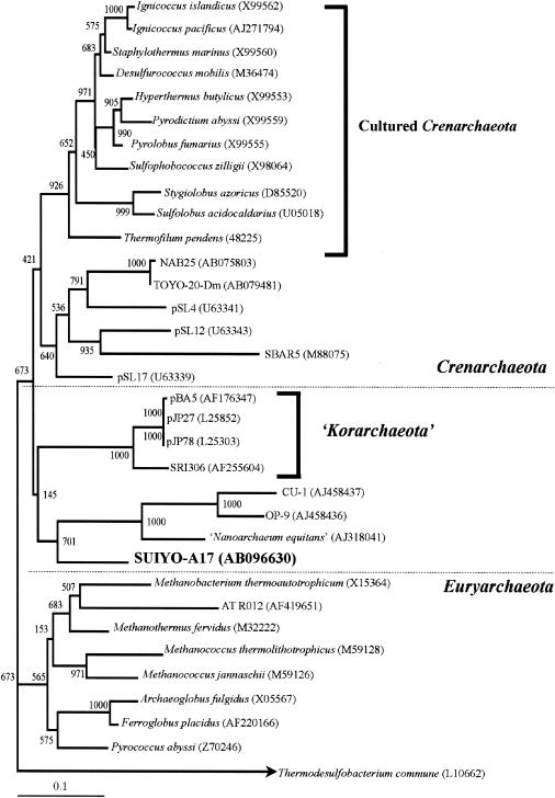 FIG. 6.