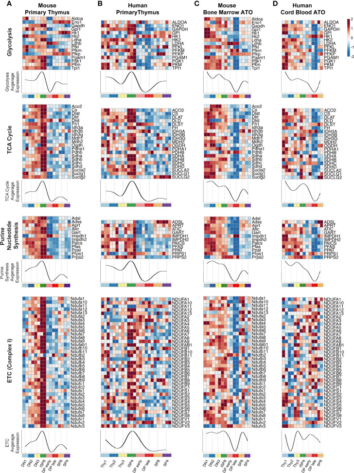 Figure 3