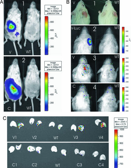 Fig. 4.