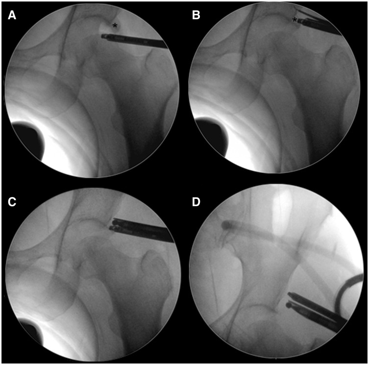 Fig. 3.