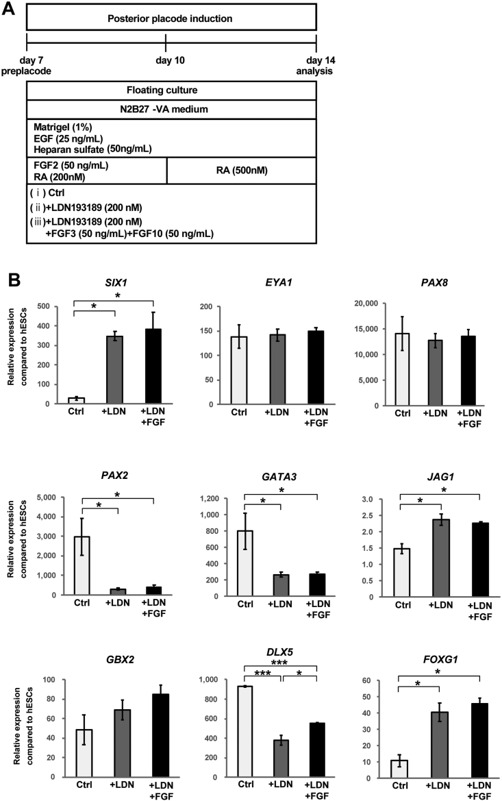 Fig. 4