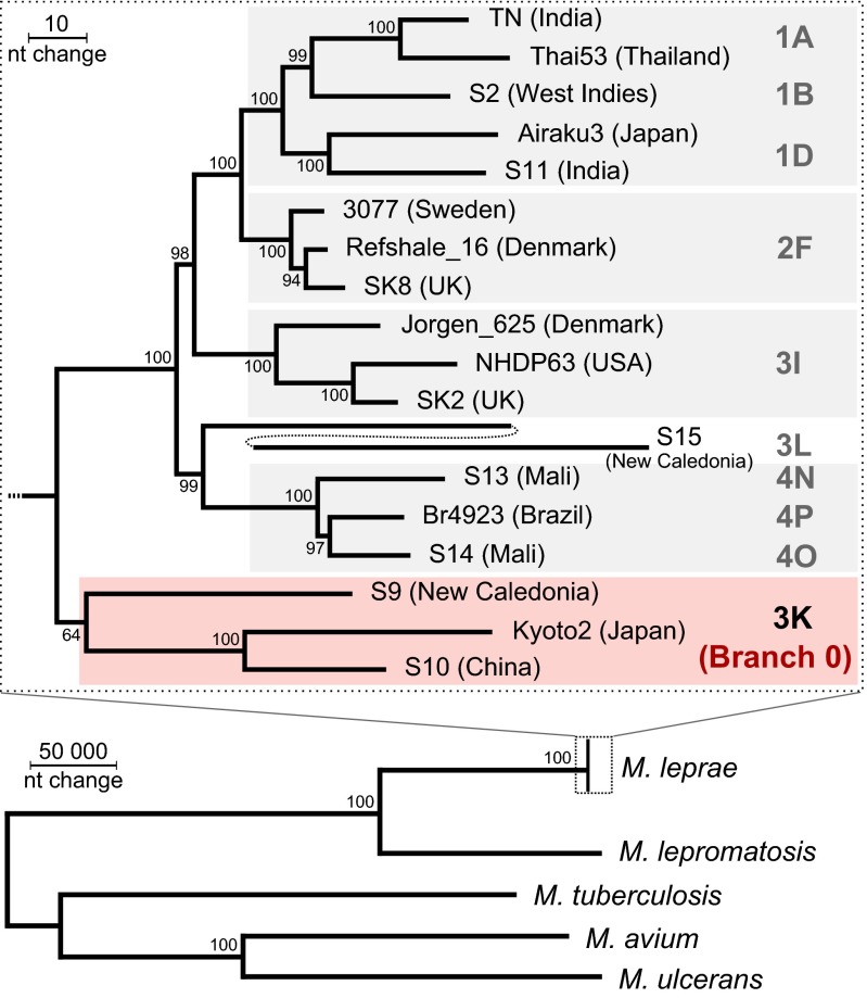 Fig. 4.