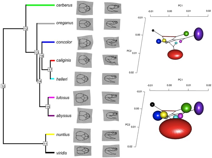 Fig 4