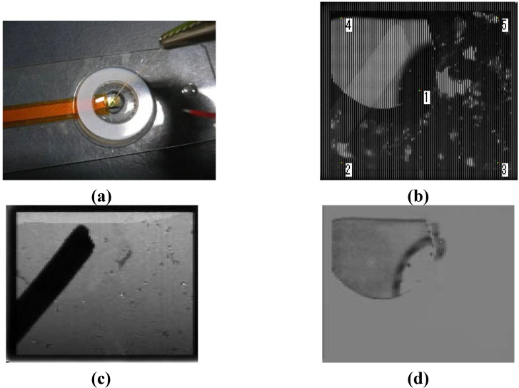 Figure 5