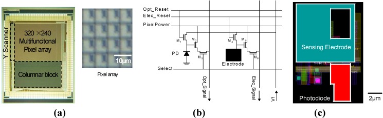 Figure 11