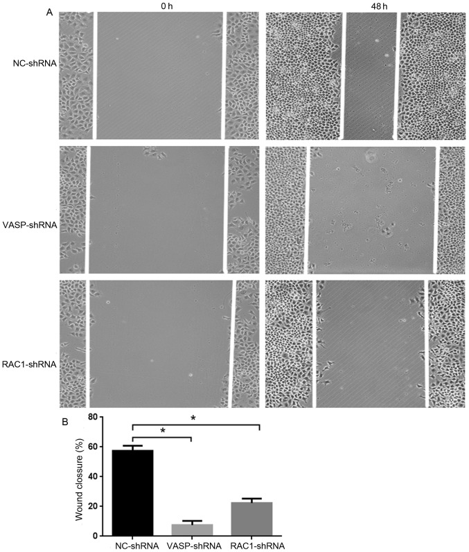 Figure 7.