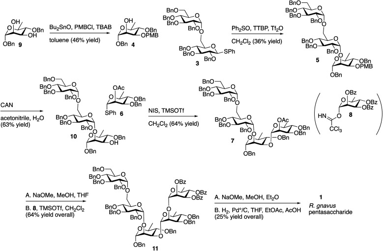 Scheme 2