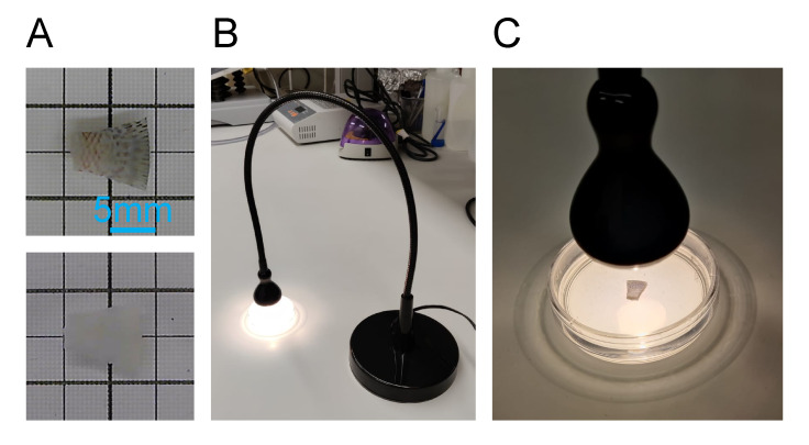 Figure 2.