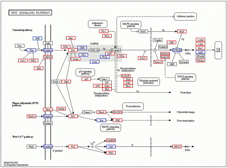 Figure 3