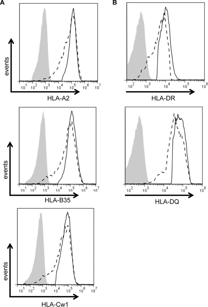 FIG 3