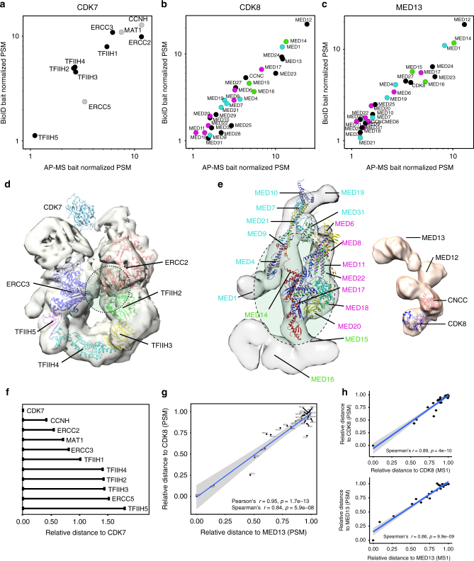 Fig. 7