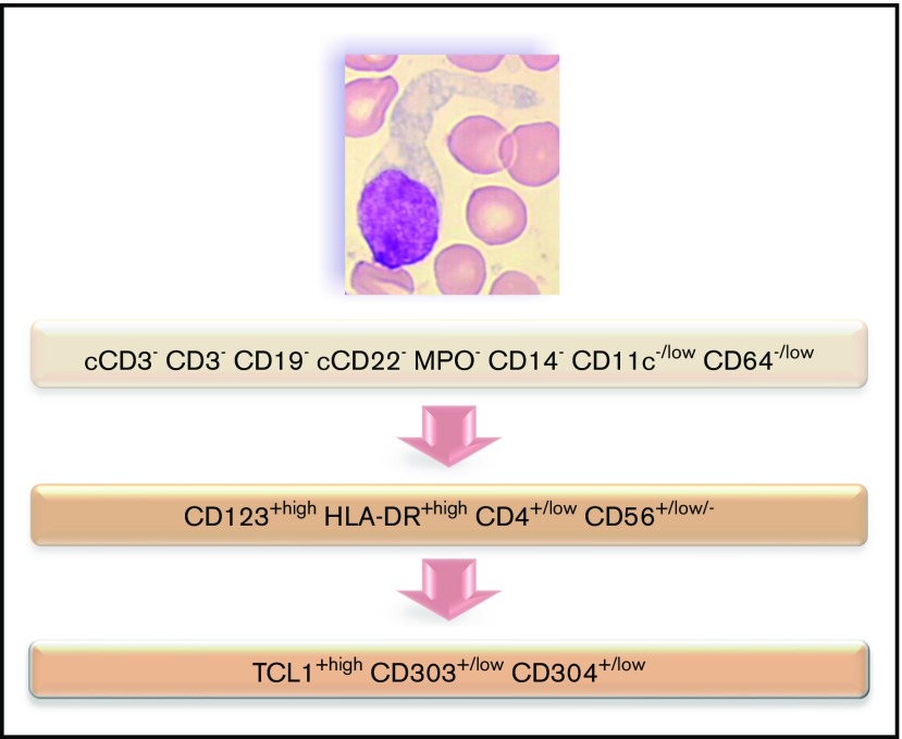 Figure 7.