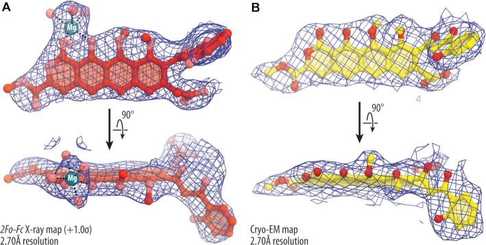 Figure 2.