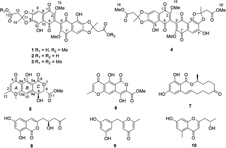 Fig. 1